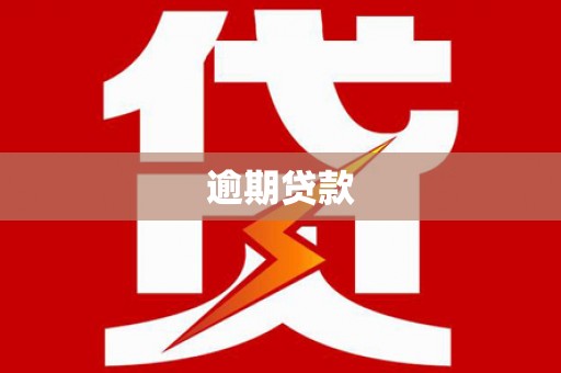 郸城逾期贷款