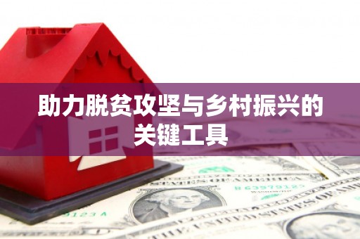 郸城助力脱贫攻坚与乡村振兴的关键工具