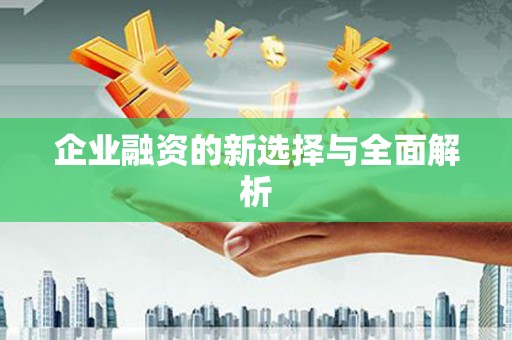 郸城企业融资的新选择与全面解析