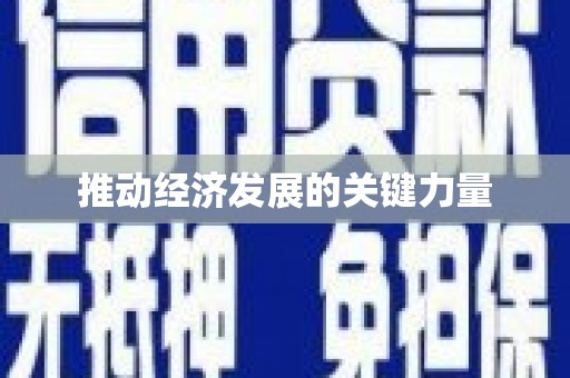 郸城推动经济发展的关键力量
