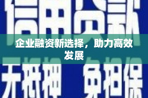 郸城企业融资新选择，助力高效发展