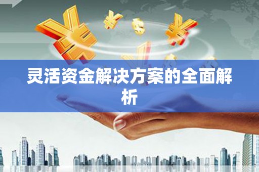 郸城灵活资金解决方案的全面解析