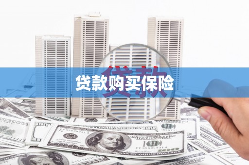 郸城贷款购买保险