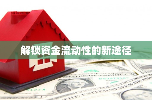 郸城解锁资金流动性的新途径