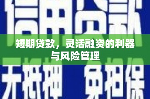 郸城短期贷款，灵活融资的利器与风险管理