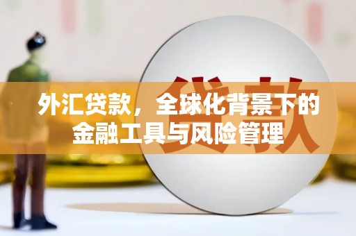 郸城外汇贷款，全球化背景下的金融工具与风险管理