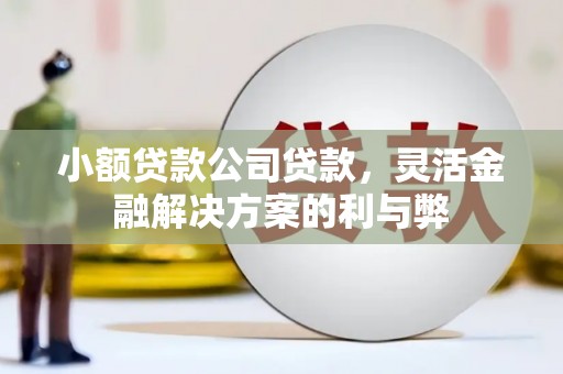 郸城小额贷款公司贷款，灵活金融解决方案的利与弊