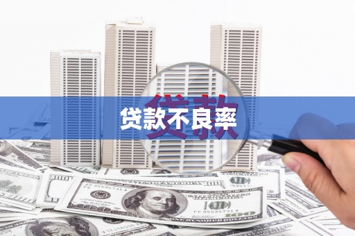 郸城贷款不良率