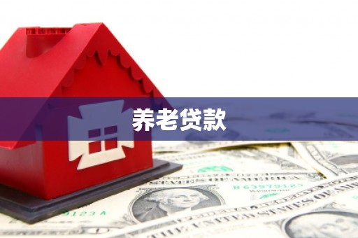 郸城养老贷款