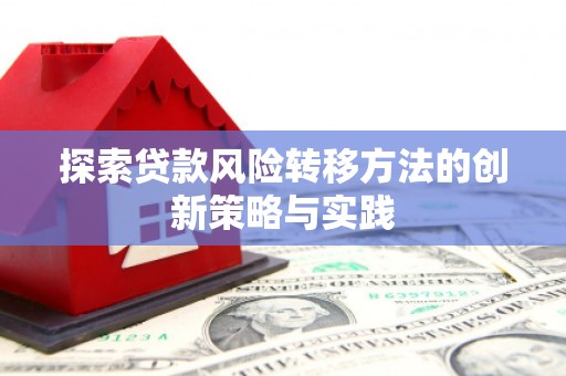 郸城探索贷款风险转移方法的创新策略与实践