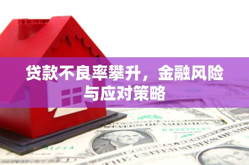 郸城贷款不良率攀升，金融风险与应对策略
