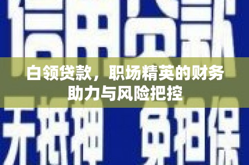 郸城白领贷款，职场精英的财务助力与风险把控