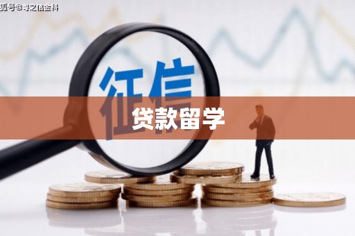 郸城贷款留学