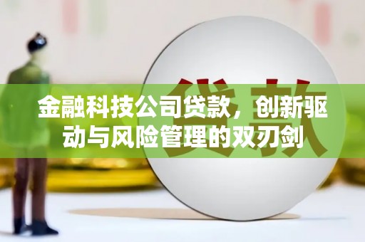 郸城金融科技公司贷款，创新驱动与风险管理的双刃剑