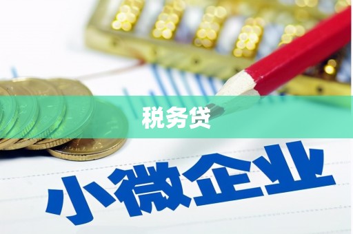 郸城税务贷