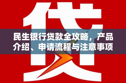 郸城民生银行贷款全攻略，产品介绍、申请流程与注意事项
