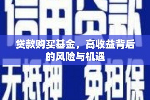 郸城贷款购买基金，高收益背后的风险与机遇